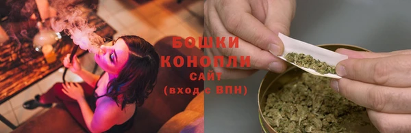 сатива Балахна