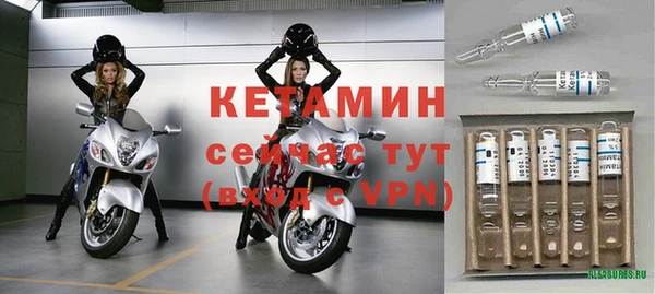 сатива Балахна