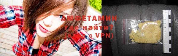 сатива Балахна